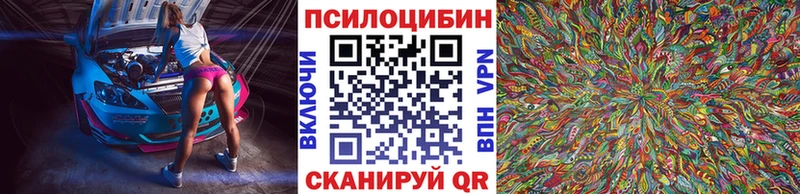 Галлюциногенные грибы Magic Shrooms  Купить где  Куровское 