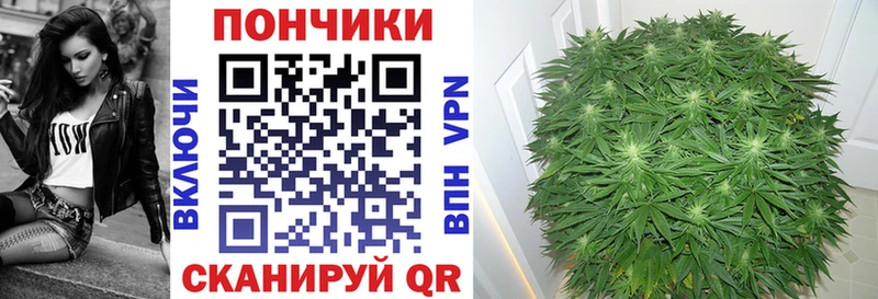 Купить  Куровское  Бошки марихуана VHQ 